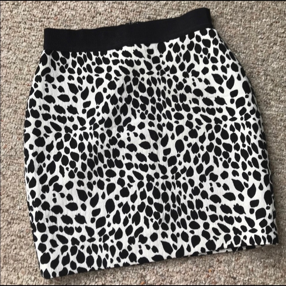 Ann Taylor Skirt